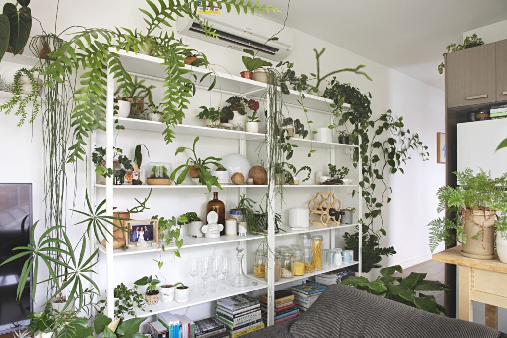 Aesthetic Journey with Plant Wall Hanger
