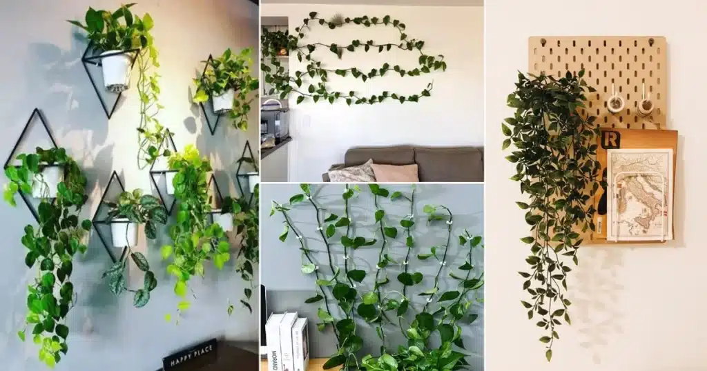 Selecting the Perfect Wall Plant Hanger