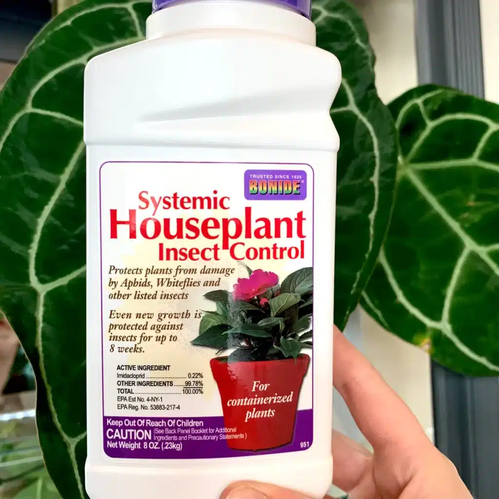 Systematic Houseplant Insect Control