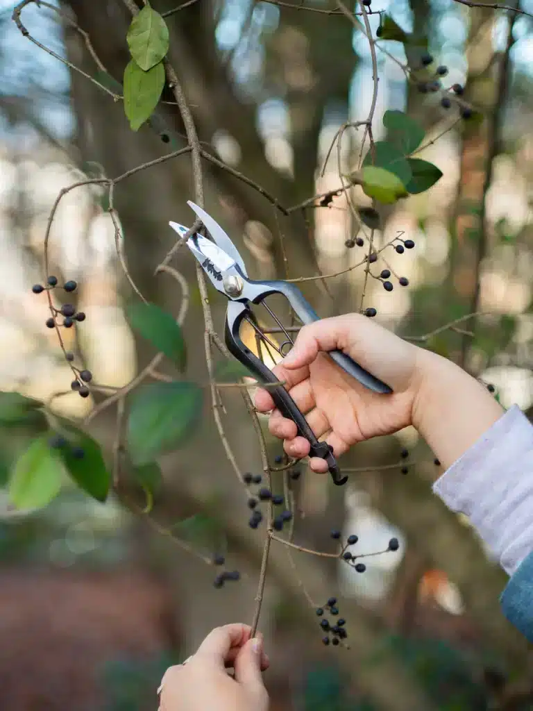 Garden Hand Tool: Precision at Your Fingertips