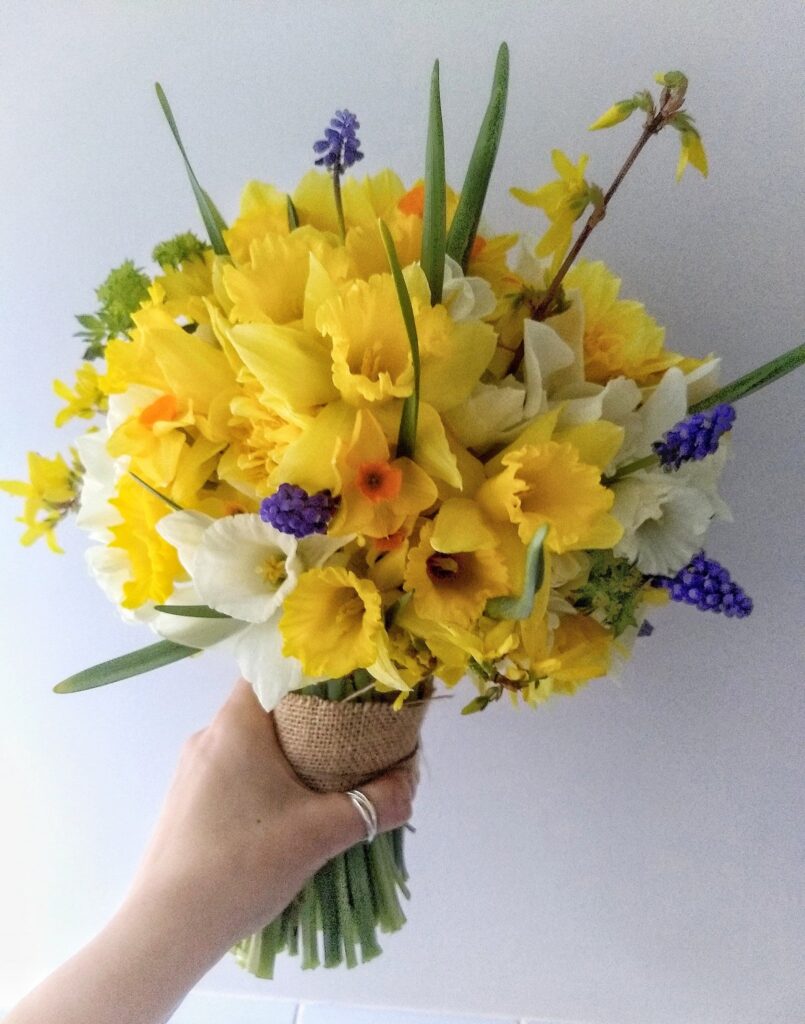 daffodil bouquet