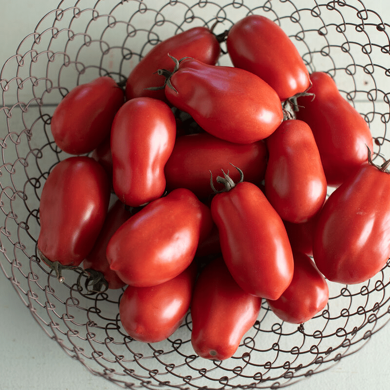 tomato seeds san marzano