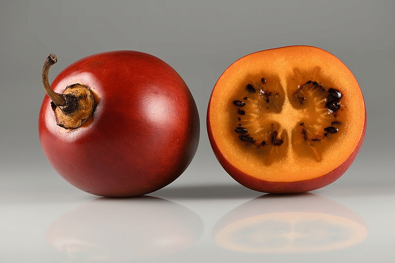 tomate de arbol (tomato tree)