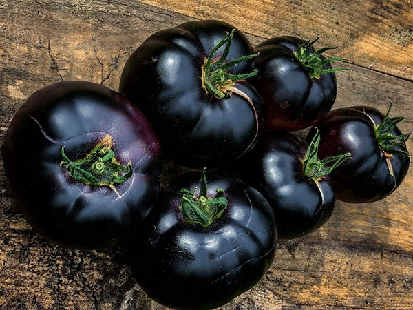 black beauty tomato